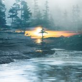 Gallery 8 Salt Spring Island British Columbia Canada - Artist Stacey Bodnaruk