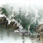 Gallery 8 Salt Spring Island British Columbia Canada - Artist Stacey Bodnaruk