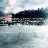 Gallery 8 Salt Spring Island British Columbia Canada - Artist Stacey Bodnaruk