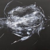 Gallery 8 Salt Spring Island - Artist Marney-Rose Edge