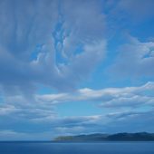 Gallery 8 Salt Spring Island - Artist Carol Haigh